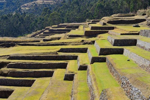 Walled terraces of the Incas