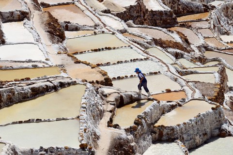 Workers in the terraces for salt extraction