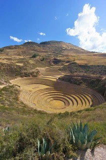 Moray