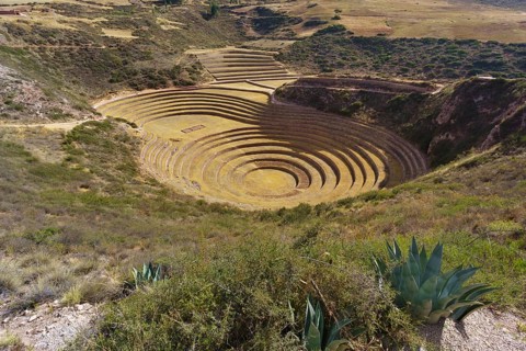 Moray
