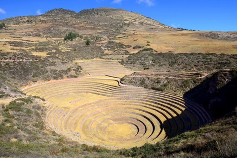 Moray