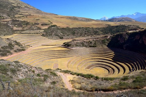 Moray