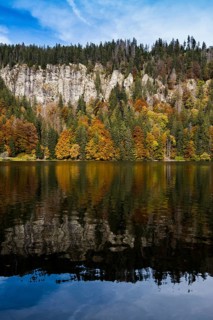 Autumn forest with reflection