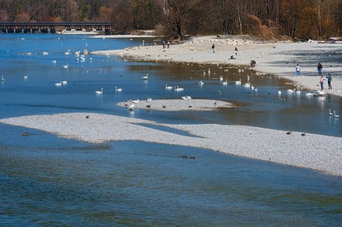 Strollers and swans at the Flauchersteg