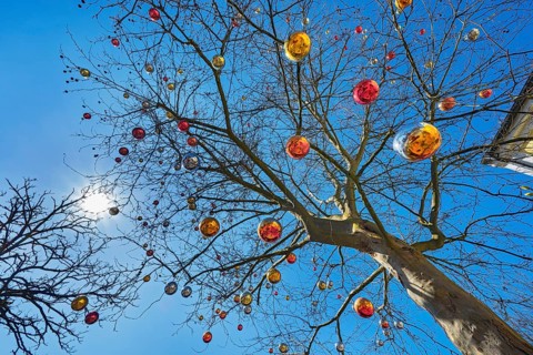 Tree hung with Christmas balls