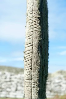 Pictish symbol stone