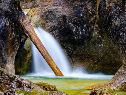 Tree trunk lies in a waterfall of the Almbachklamm