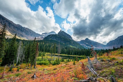 View of Lone Walker Mountain and Mount Rockwell with bushes in fall colors