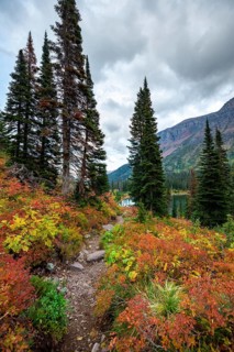 Hiking trail through bushes in autumn colors