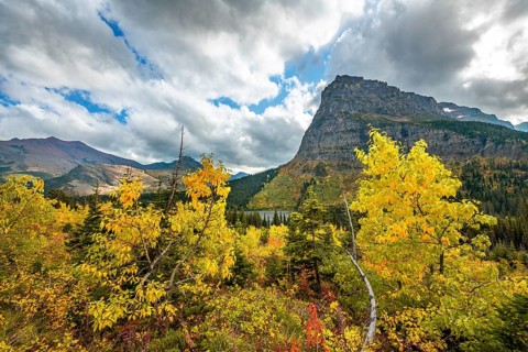 View of Sinopah Mountain with bushes in fall colors