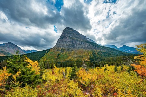 View of Sinopah Mountain with bushes in fall colors