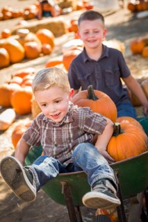 Two little boys playing in wheelbarrow at the pumpkin patch in a rustic country setting
