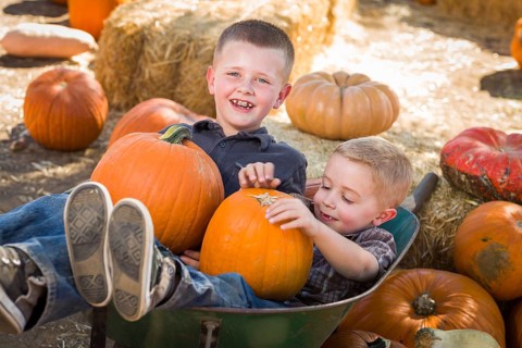 Two little boys playing in wheelbarrow at the pumpkin patch in a rustic country setting