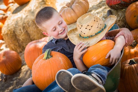 Two little boys playing in wheelbarrow at the pumpkin patch in a rustic country setting