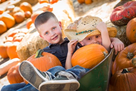 Two little boys playing in wheelbarrow at the pumpkin patch in a rustic country setting