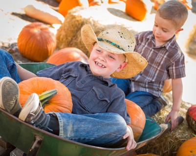 Two little boys playing in wheelbarrow at the pumpkin patch in a rustic country setting