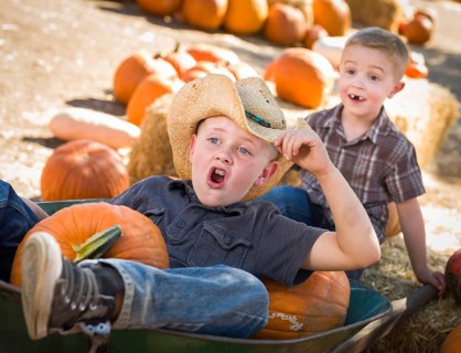 Two little boys playing in wheelbarrow at the pumpkin patch in a rustic country setting