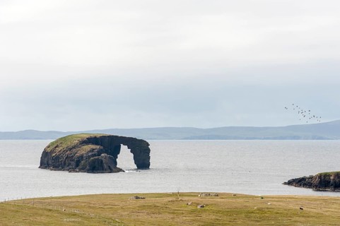 Geology Basalt