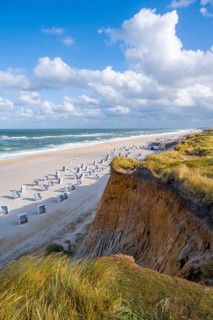 Beach chairs