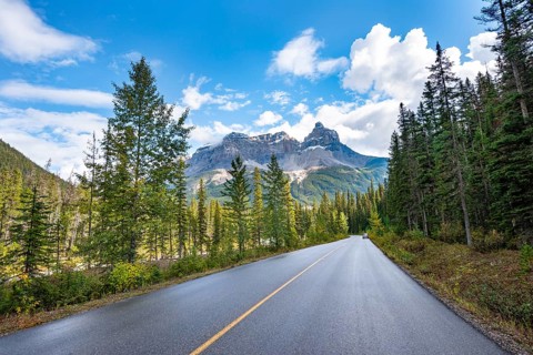 Country road Yoho Valley Road