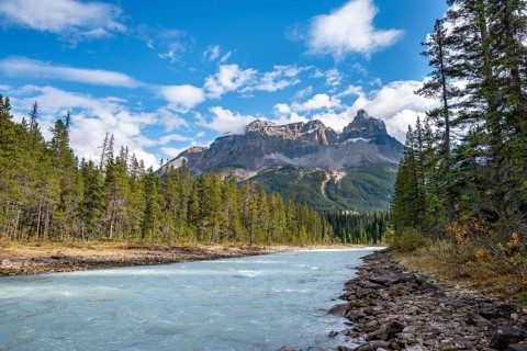 River Kicking Horse River