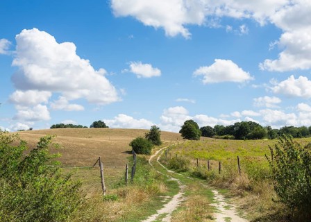 Field path through hilly landscape