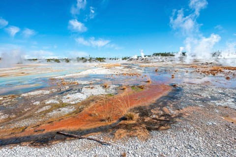 Red mineral deposits at a thermal spring