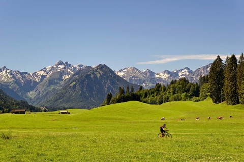 View from the meadows near the village Reichenbach to the mountain panorama of the Allgaeu Alps