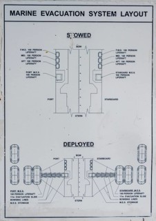 Marine evacuation system layout