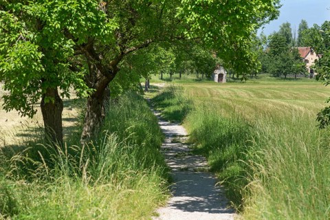 Meadow path in the Franconian Open Air Museum