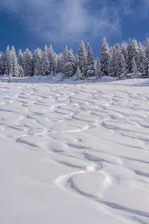 Ski tracks in deep snow on the slope of the Rauhkopf in winter