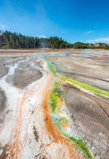Red mineral deposits and green algae at a thermal spring
