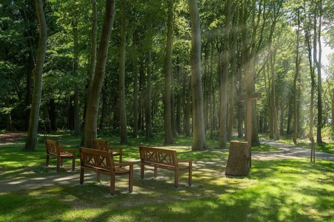 Burial forest Waldfrieden in the castle park