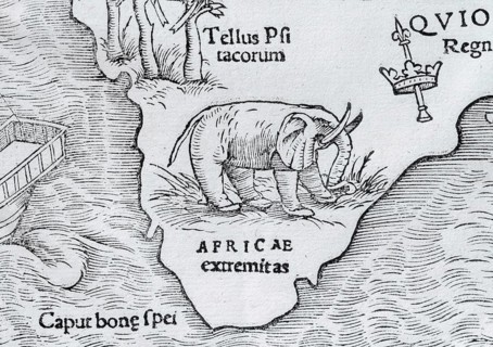 Elephant