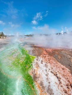 Red mineral deposits and green algae at a thermal spring
