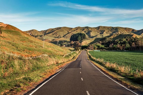 Hilly landscape