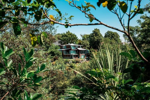 House in Napier