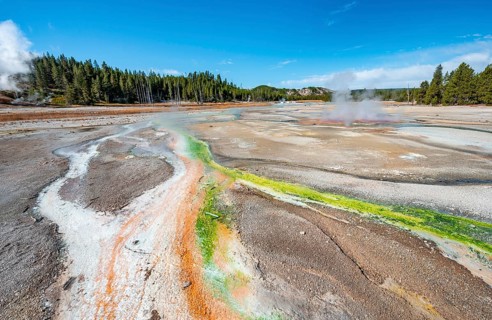 Red mineral deposits and green algae at a thermal spring