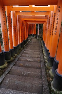Famous torii gates on the path to Fushimi Inari Taisha shrine on Mount Inari in Kyoto