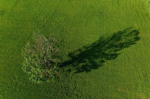 Drone image