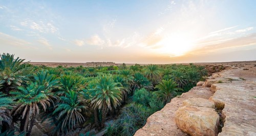 Cliff edge and valley full of palm trees