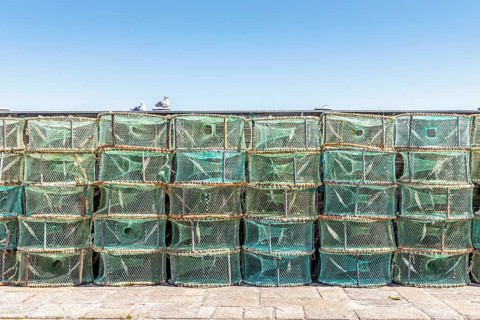 A lot of green traps used in Portugal to catch octopus and crabs