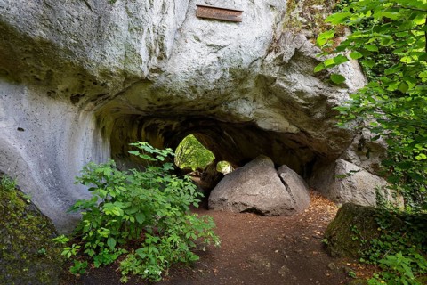 Entrance Quackenschloss