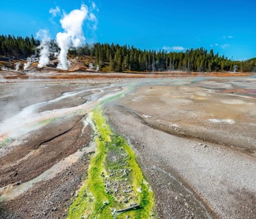 Red mineral deposits and green algae at a thermal spring