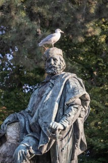 Seagull sitting on the head of a statue