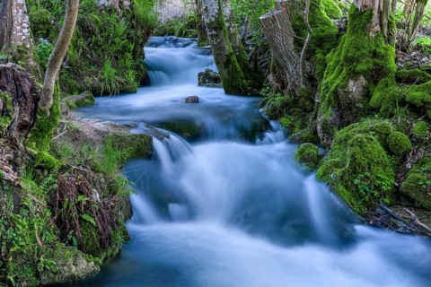 Watercourse Bruehlbach