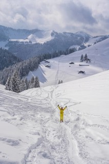 Ski tourers