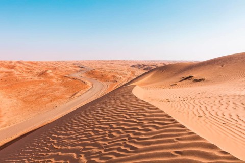 Landscape of desert