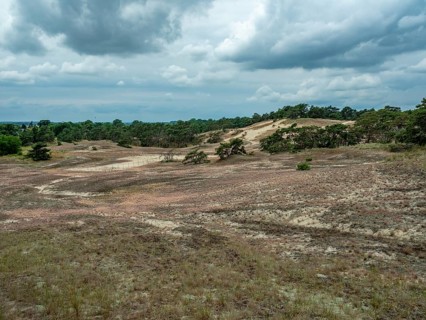 Dry sandy grassland in the Binnenduenen nature reserve near Klein Schmoelen