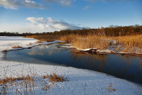 Winter atmosphere at Lake Leiner near Dessau-Rosslau